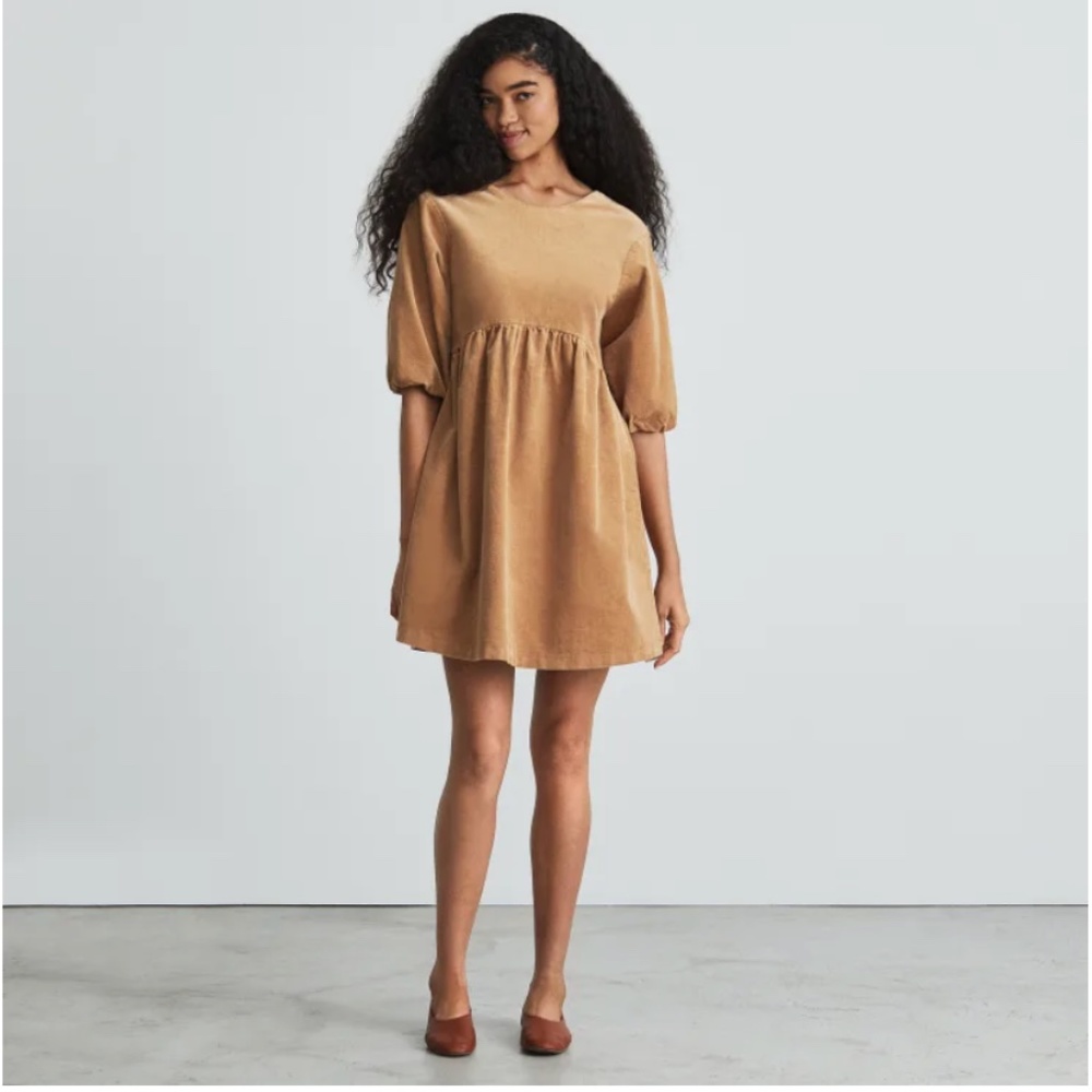 NWT. Everlane "The Corduroy Mini Dress". Medium.